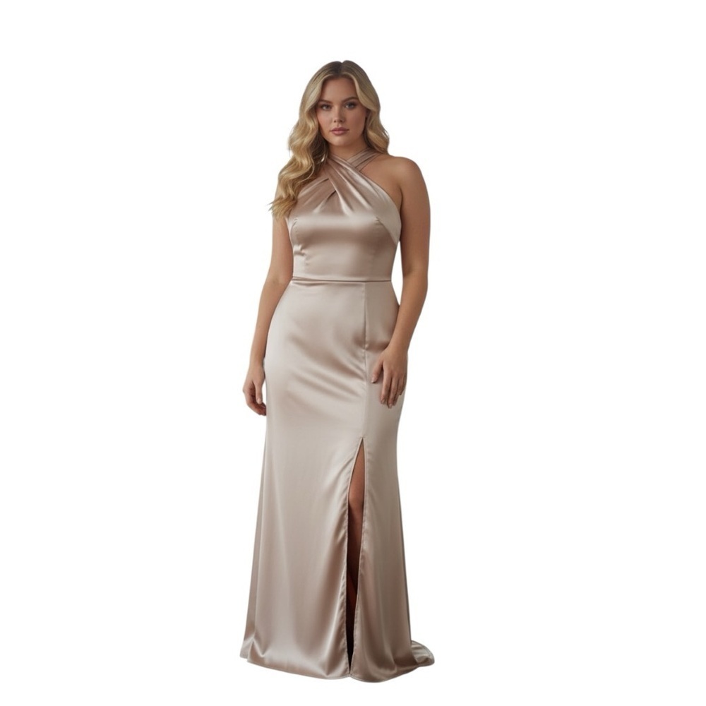 Plus Size Prom Dress Elegant Dress in Champagne Brides Maid Formal Size 1X